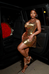 MOLTEN MUSE DRESS